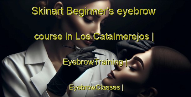 Skinart Beginner's eyebrow course in Los Catalmerejos | EyebrowTraining | EyebrowClasses | SkinartTraining-Spain